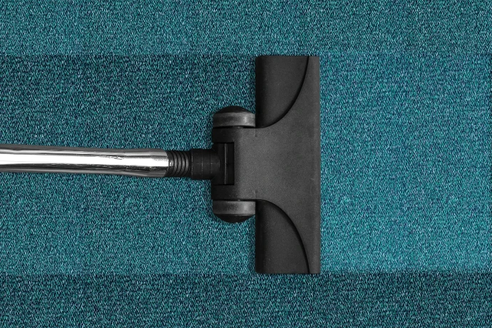 vacuum cleaner attachment tool on a green carpet. 